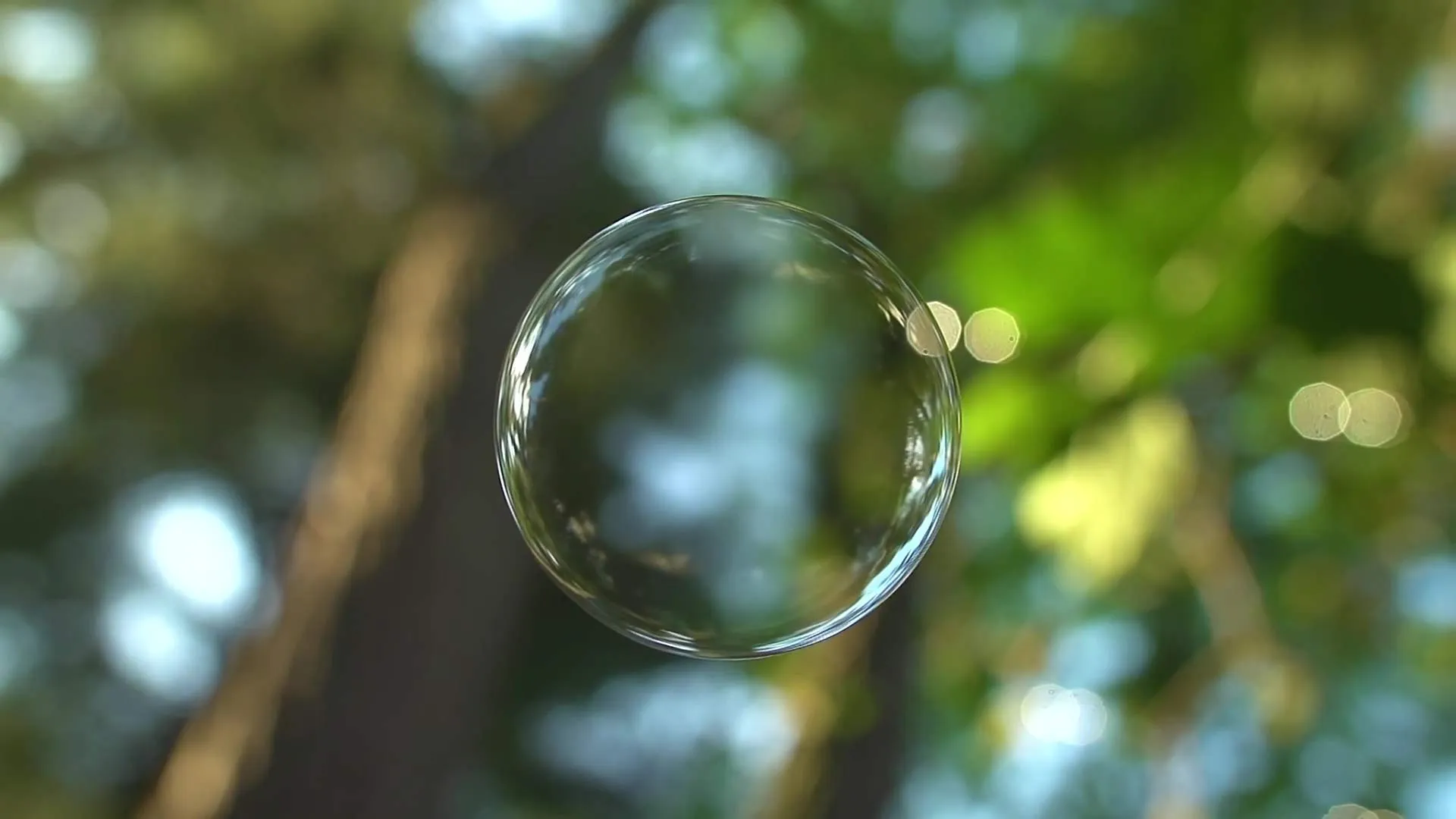 Spotlab 'Bubble' background